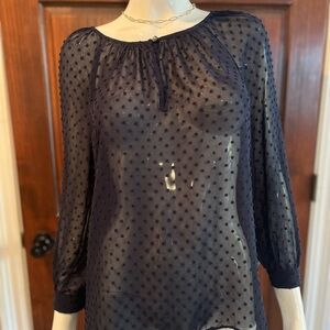 J. Crew Navy Sheer Polka Dot Blouse